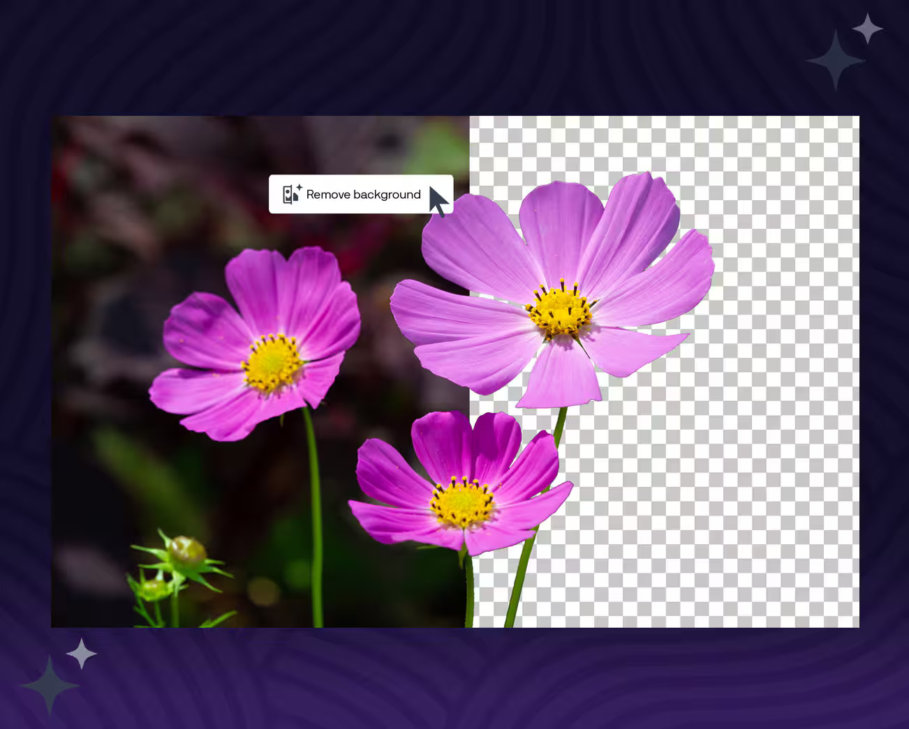 Remove backgrounds with AI