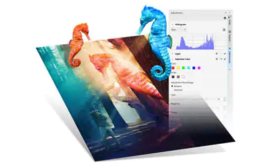 Making the most of the Adjustments docker/inspector