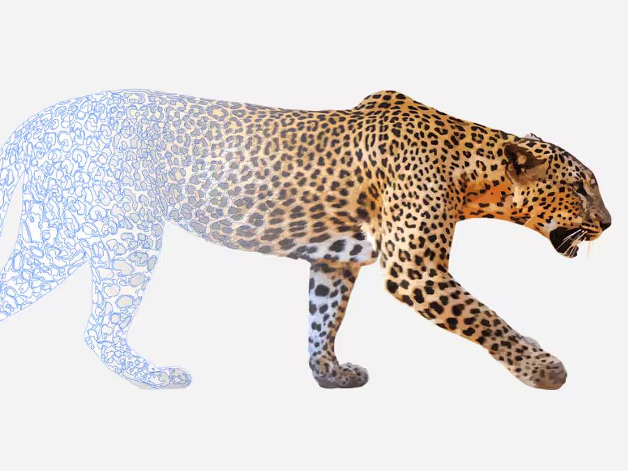 Turn an image into vector